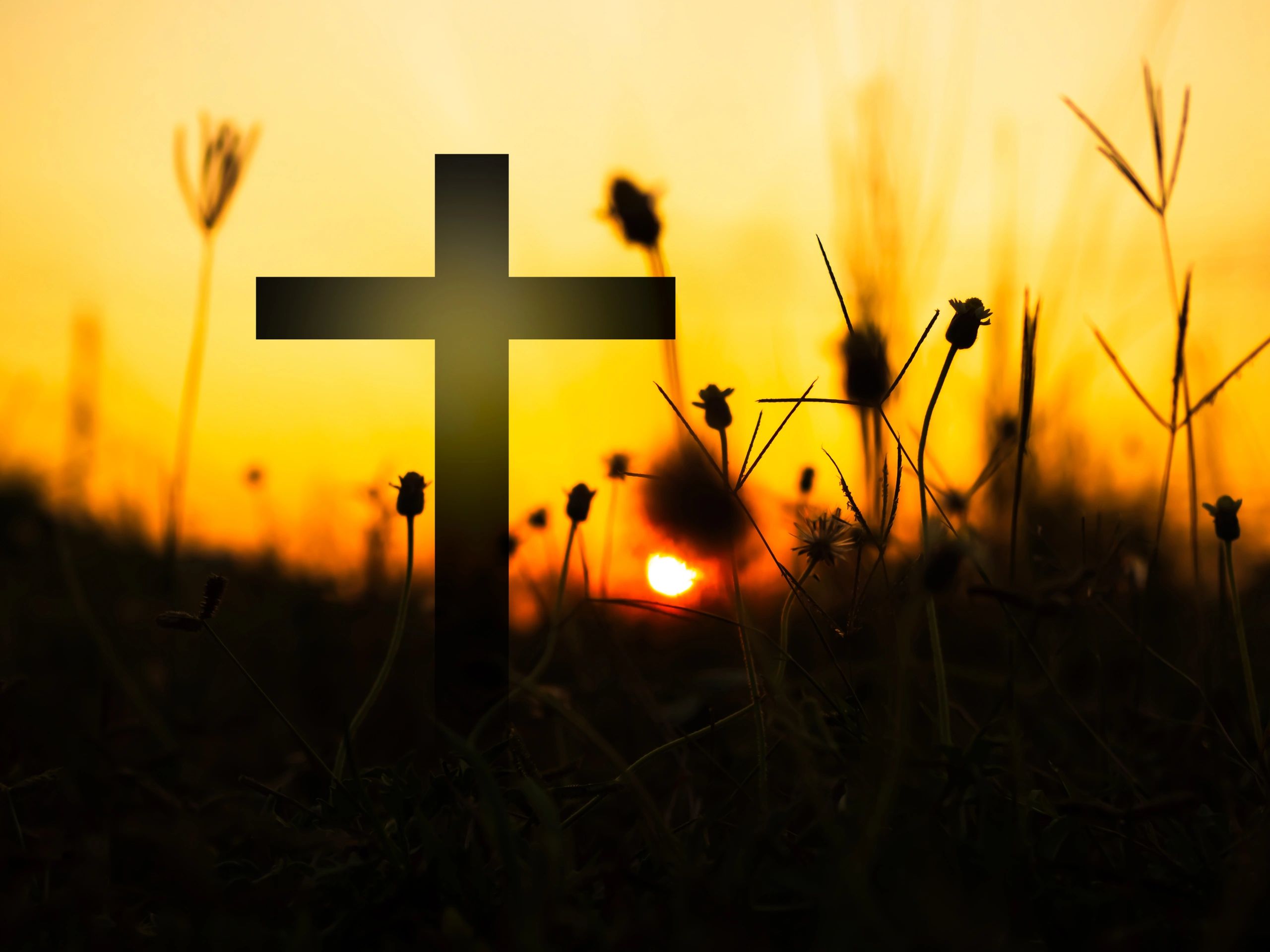 Cross shape